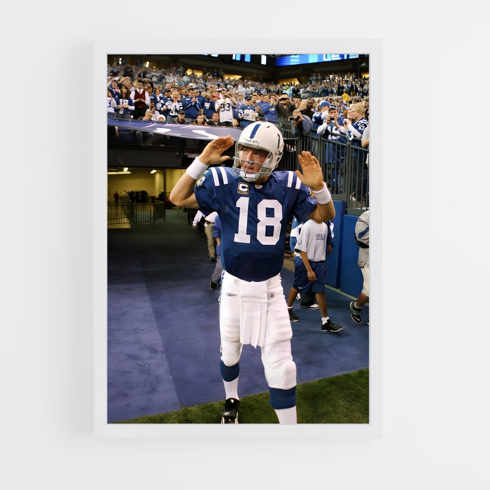 Poster L'Ascension de Peyton (vue 3)